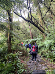 13oed Mt Holdsworth 10