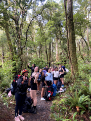 13oed Mt Holdsworth 11