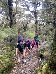 13oed Mt Holdsworth 2