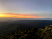 13oed Mt Holdsworth 3