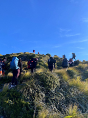 13oed Mt Holdsworth 7