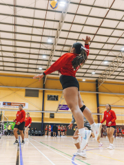 Volleyball Summer Tournament Div 1 Senior A Lions 11th 1